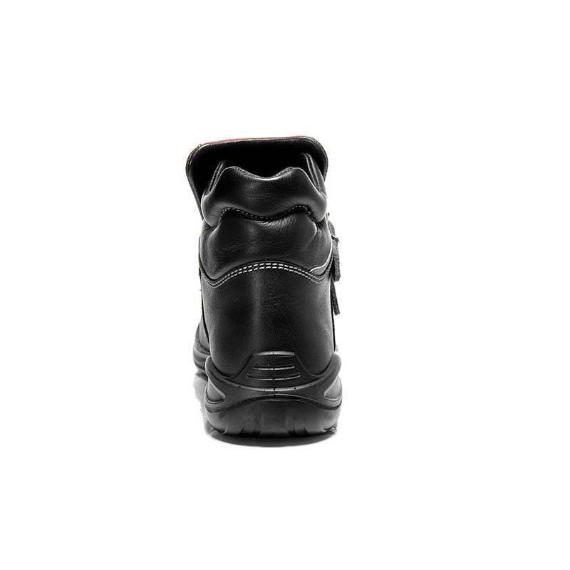 PRO_E_66071_BACK