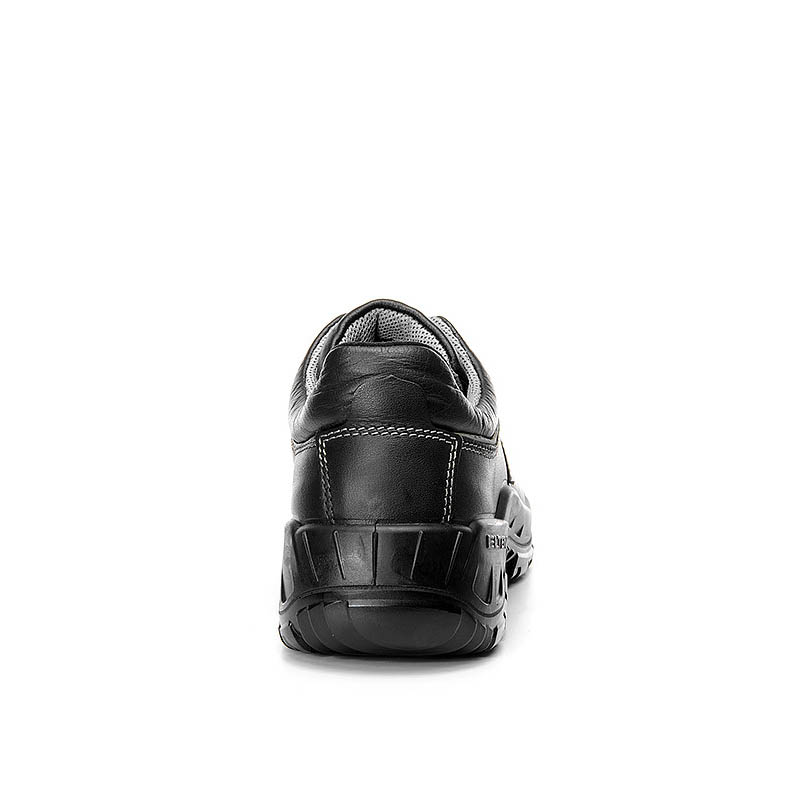 PRO_E_725841_BACK