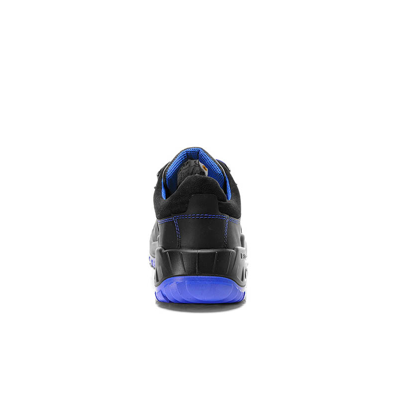 PRO_E_727561_BACK