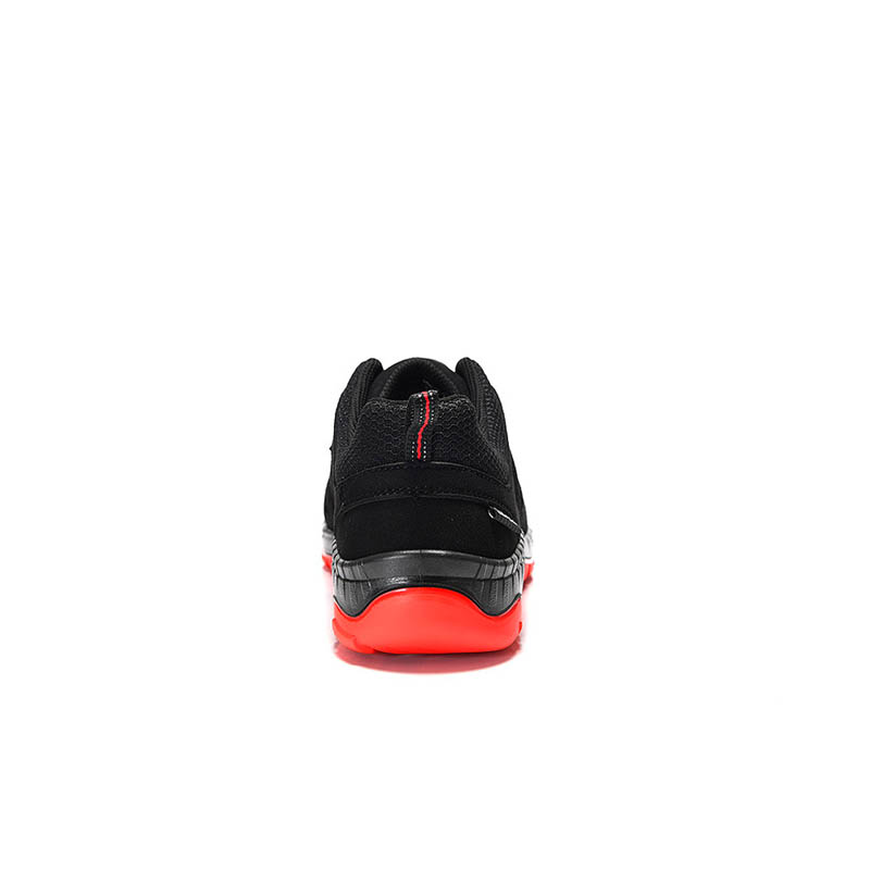 PRO_E_729151_BACK