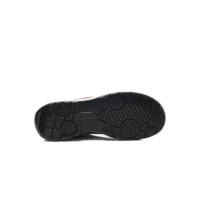 PRO_E_729910_BOTTOM