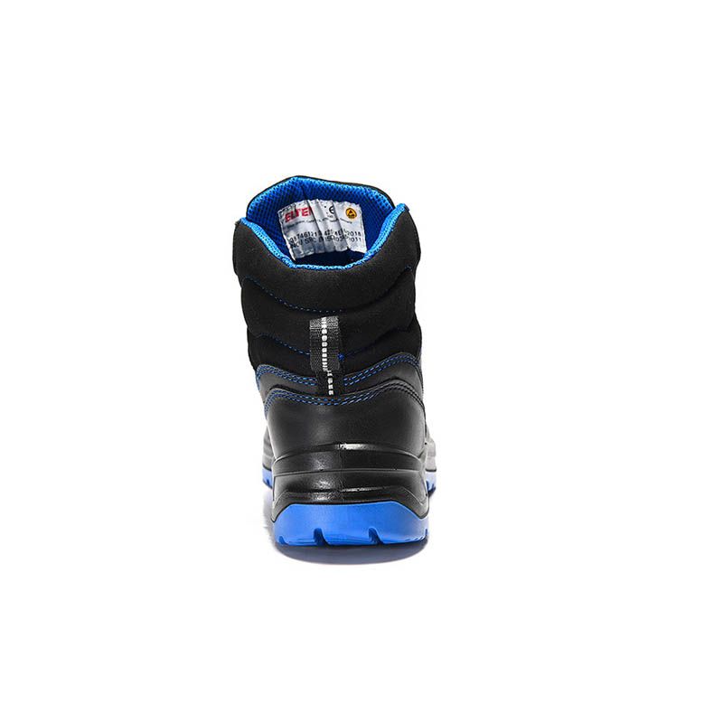 PRO_E_746121_BACK