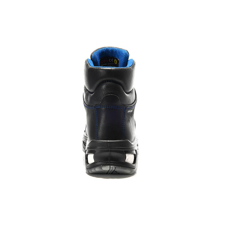 PRO_E_765931_BACK