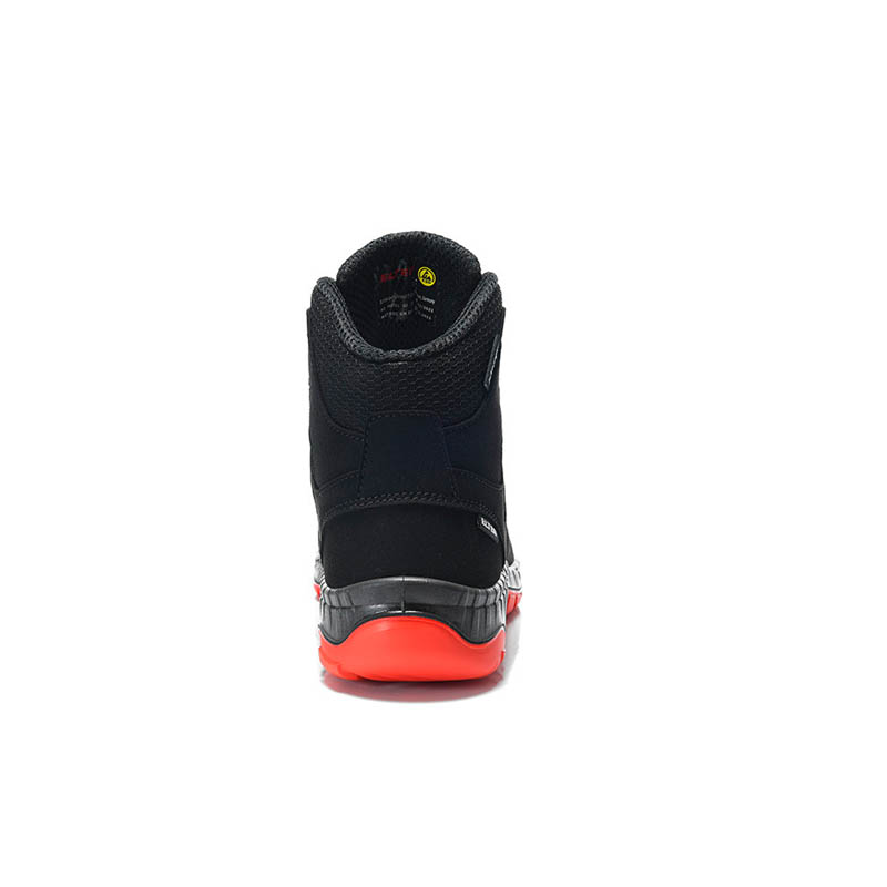 PRO_E_769561_BACK