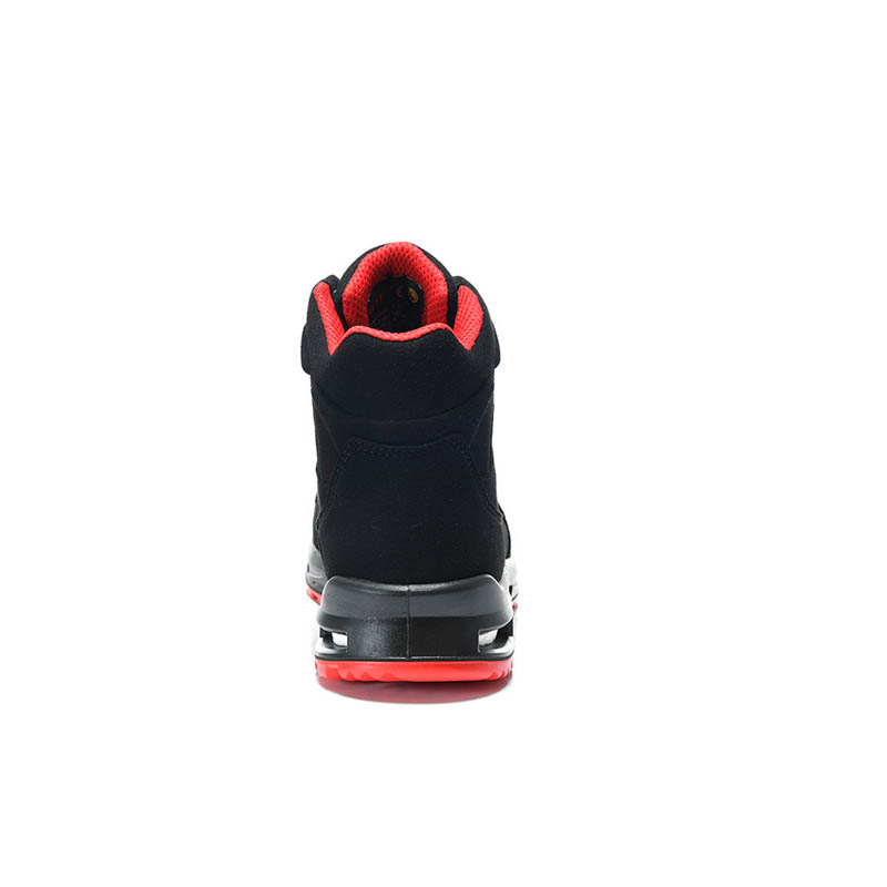 PRO_E_769711_BACK