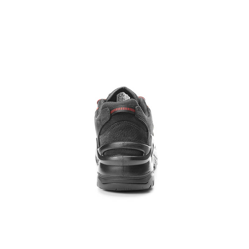 PRO_L_5338_BACK